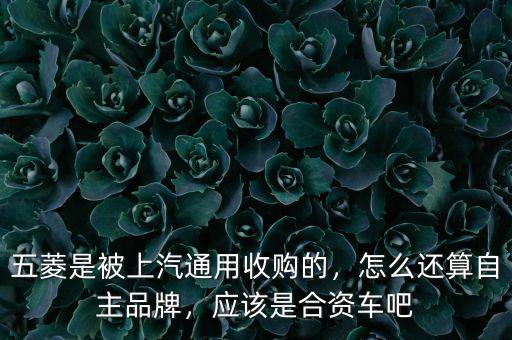 五菱是被上汽通用收購(gòu)的，怎么還算自主品牌，應(yīng)該是合資車吧