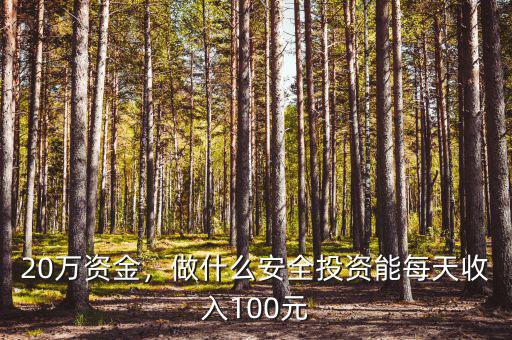 20萬(wàn)資金，做什么安全投資能每天收入100元