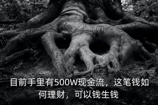 目前手里有500W現(xiàn)金流，這筆錢如何理財(cái)，可以錢生錢
