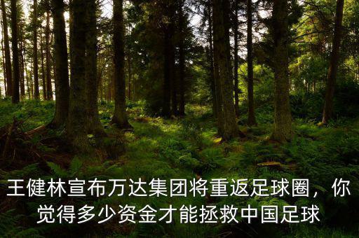 王健林宣布萬達集團將重返足球圈，你覺得多少資金才能拯救中國足球
