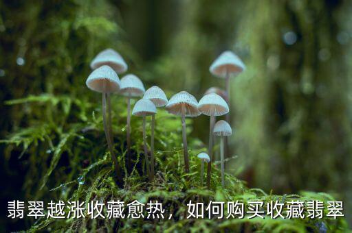 翡翠越漲收藏愈熱，如何購買收藏翡翠