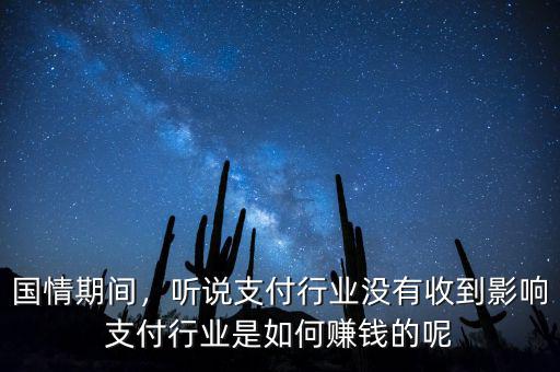國情期間，聽說支付行業(yè)沒有收到影響支付行業(yè)是如何賺錢的呢
