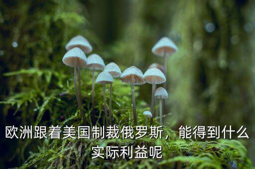 歐洲跟著美國制裁俄羅斯，能得到什么實際利益呢