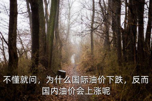 不懂就問(wèn)，為什么國(guó)際油價(jià)下跌，反而國(guó)內(nèi)油價(jià)會(huì)上漲呢