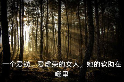 一個愛錢、愛虛榮的女人，她的軟助在哪里