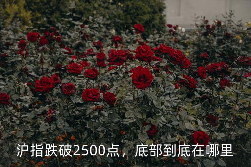 滬指跌破2500點，底部到底在哪里