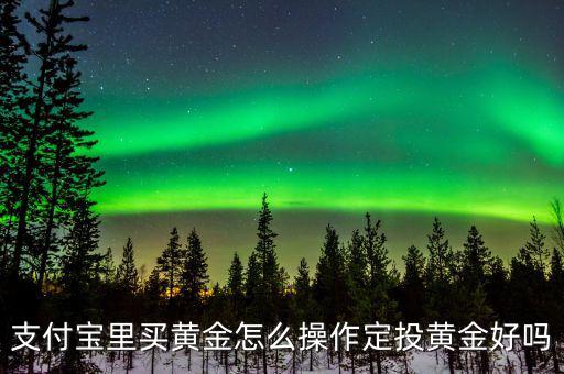 支付寶怎么買(mǎi)黃金,支付寶里的買(mǎi)黃金怎么玩