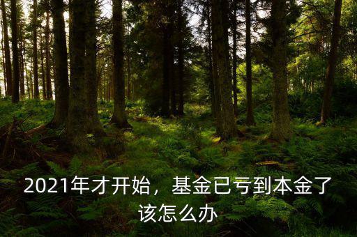 2021年才開始，基金已虧到本金了該怎么辦