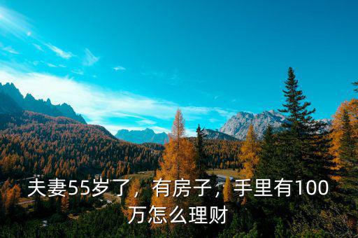 夫妻55歲了，有房子，手里有100萬怎么理財(cái)