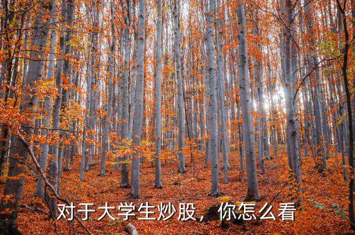 對于大學(xué)生炒股，你怎么看