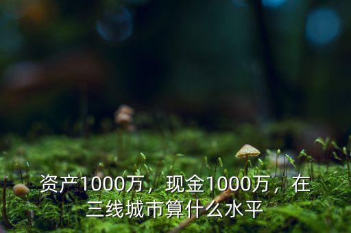 資產(chǎn)1000萬，現(xiàn)金1000萬，在三線城市算什么水平