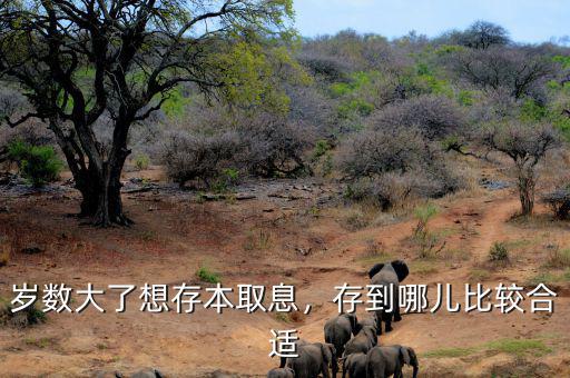 歲數(shù)大了想存本取息，存到哪兒比較合適