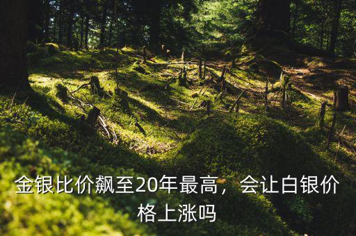 金銀比價(jià)飆至20年最高，會(huì)讓白銀價(jià)格上漲嗎