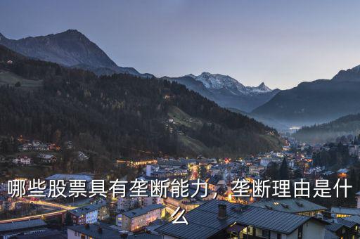 哪些股票具有壟斷能力，壟斷理由是什么