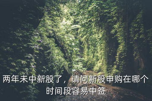 兩年未中新股了，請問新股申購在哪個(gè)時(shí)間段容易中簽