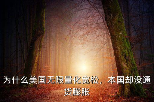 為什么美國無限量化寬松，本國卻沒通貨膨脹