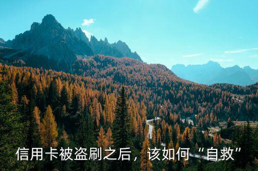 信用卡被盜刷之后，該如何“自救”