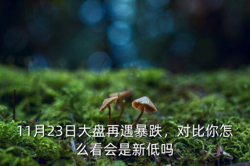 11月23日大盤再遇暴跌，對(duì)比你怎么看會(huì)是新低嗎
