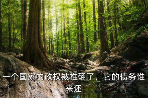 一個(gè)國家的政權(quán)被推翻了，它的債務(wù)誰來還