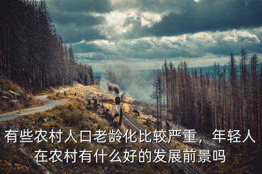 有些農(nóng)村人口老齡化比較嚴(yán)重，年輕人在農(nóng)村有什么好的發(fā)展前景嗎