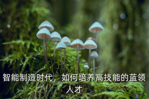 智能制造時(shí)代，如何培養(yǎng)高技能的藍(lán)領(lǐng)人才