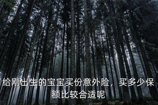 給剛出生的寶寶買份意外險，買多少保額比較合適呢