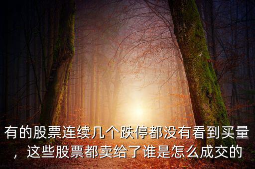 有的股票連續(xù)幾個(gè)跌停都沒(méi)有看到買量，這些股票都賣給了誰(shuí)是怎么成交的