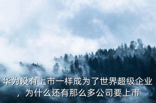 華為沒有上市一樣成為了世界超級企業(yè)，為什么還有那么多公司要上市