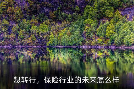 想轉(zhuǎn)行，保險行業(yè)的未來怎么樣