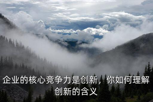企業(yè)的核心競爭力是創(chuàng)新，你如何理解創(chuàng)新的含義