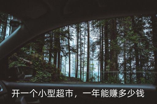 開一個小型超市，一年能賺多少錢