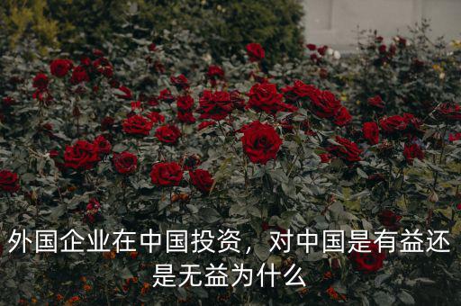 外國企業(yè)在中國投資，對中國是有益還是無益為什么