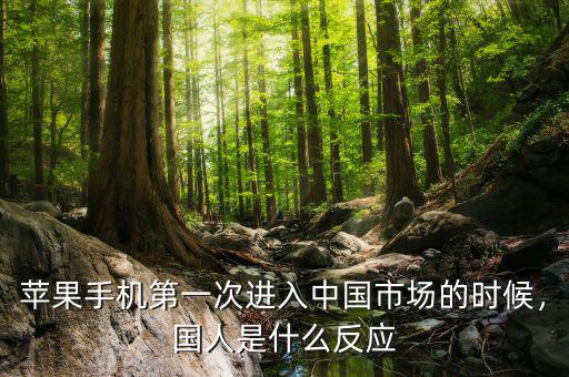 蘋果手機第一次進(jìn)入中國市場的時候，國人是什么反應(yīng)