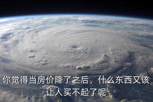 你覺得當(dāng)房?jī)r(jià)降了之后，什么東西又該讓人買不起了呢