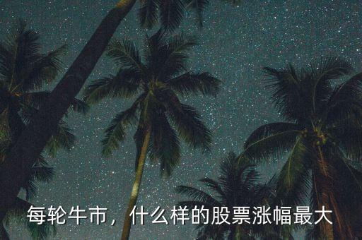 每輪牛市，什么樣的股票漲幅最大