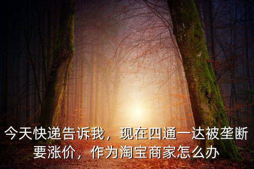今天快遞告訴我，現在四通一達被壟斷要漲價，作為淘寶商家怎么辦