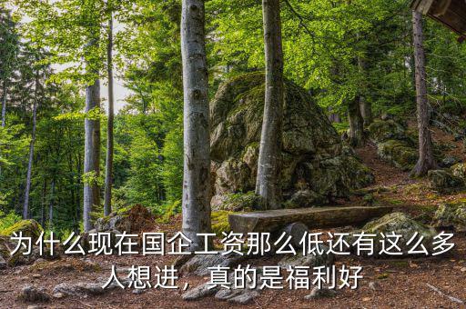 為什么現(xiàn)在國(guó)企工資那么低還有這么多人想進(jìn)，真的是福利好