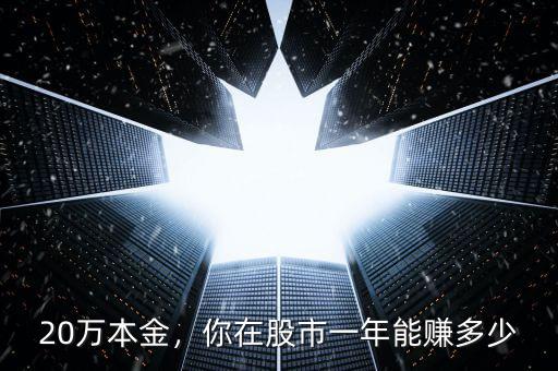 20萬(wàn)本金，你在股市一年能賺多少