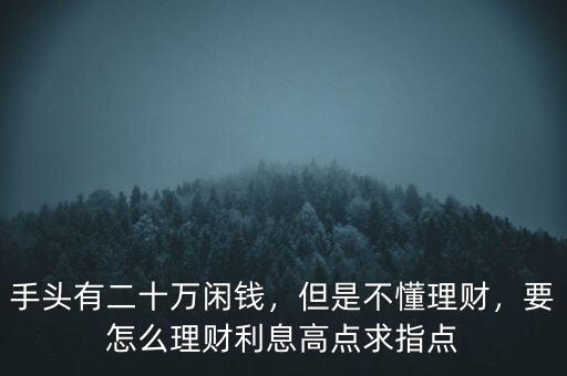手頭有二十萬閑錢，但是不懂理財，要怎么理財利息高點(diǎn)求指點(diǎn)