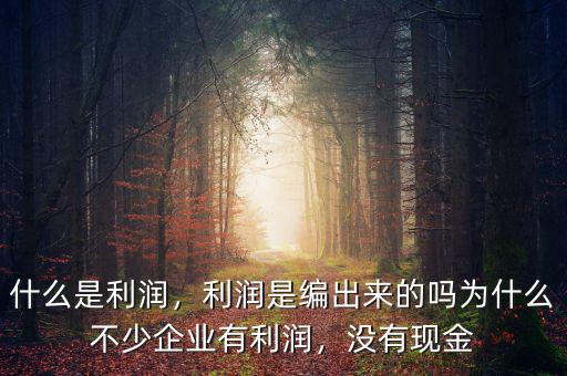 什么是利潤(rùn)，利潤(rùn)是編出來(lái)的嗎為什么不少企業(yè)有利潤(rùn)，沒(méi)有現(xiàn)金