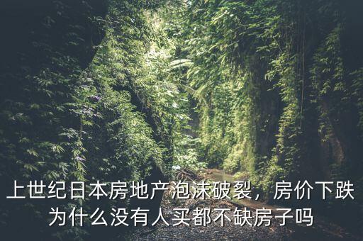 上世紀(jì)日本房地產(chǎn)泡沫破裂，房?jī)r(jià)下跌為什么沒(méi)有人買(mǎi)都不缺房子嗎