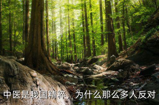中醫(yī)是我國精粹，為什么那么多人反對