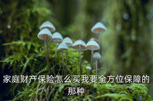 家庭財(cái)產(chǎn)保險怎么買我要全方位保障的那種