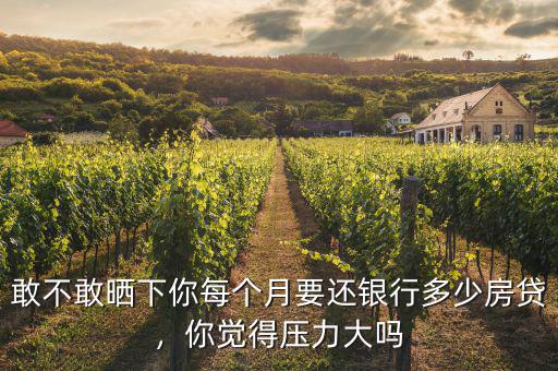 敢不敢曬下你每個月要還銀行多少房貸，你覺得壓力大嗎