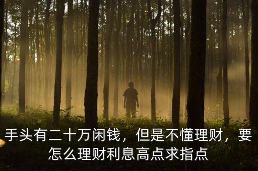 手頭有二十萬閑錢，但是不懂理財，要怎么理財利息高點求指點