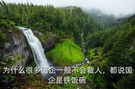 為什么很多國企一般不會裁人，都說國企是鐵飯碗