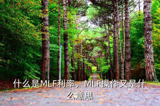 什么是MLF利率，MLF操作又是什么意思
