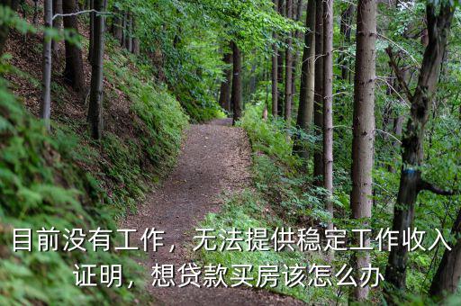 目前沒(méi)有工作，無(wú)法提供穩(wěn)定工作收入證明，想貸款買房該怎么辦