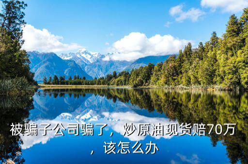 被騙子公司騙了，炒原油現(xiàn)貨賠70萬，該怎么辦