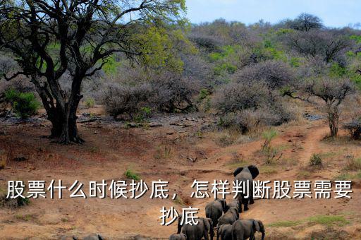股票什么時候抄底，怎樣判斷股票需要抄底
